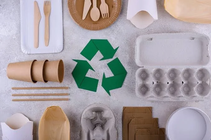 Eco-friendly food packaging boxes